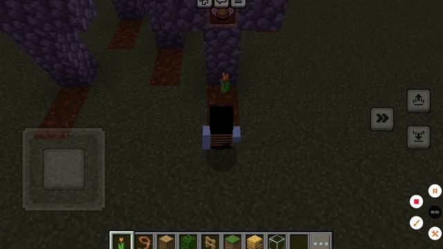 жизнь меня и моей сестры пчелы