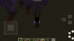 жизнь меня и моей сестры пчелы