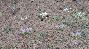 Памятник святому Сергию  в Радонеже