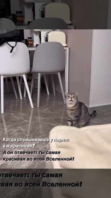 самая красивая