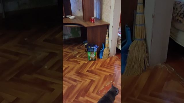 YouCut_20260416_185851606