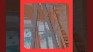 1000056196.mp4 (Собака наблюдает за устройством лестницы на 2-ой этаж в доме А-фрейм)