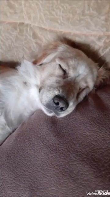 Наша Джулия - дачница