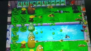 начало четвёртой лактации.mp4