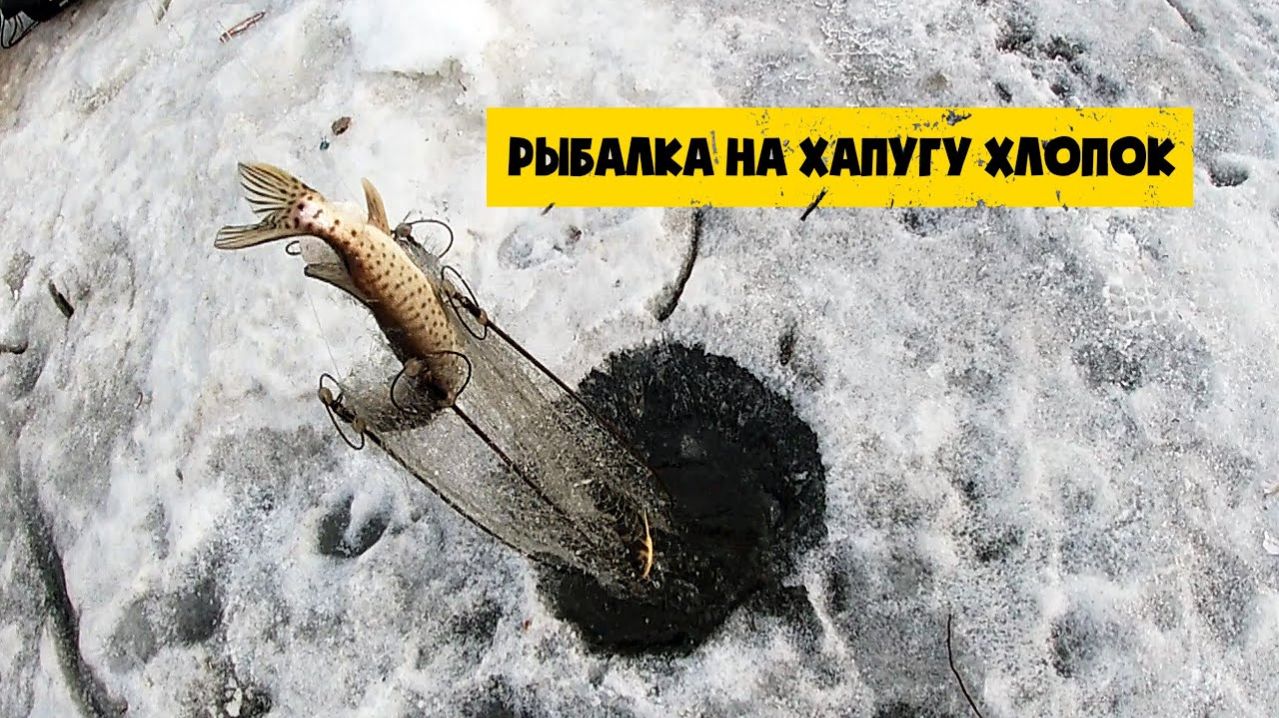 КРУТЕЙШАЯ РЫБАЛКА НА ХАПУГУ 2026. ЛУЧШАЯ РУССКАЯ РЫБАЛКА ОНЛАЙН НА RUTUBE НОВИНКИ ОНЛАЙН 2026