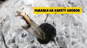 КРУТЕЙШАЯ РЫБАЛКА НА ХАПУГУ 2026. ЛУЧШАЯ РУССКАЯ РЫБАЛКА ОНЛАЙН НА RUTUBE НОВИНКИ ОНЛАЙН 2026