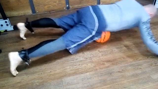 мышцы брюшного пресса