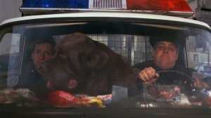 полицейская академия 2 сезон 2 серия