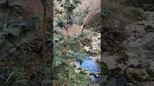 23.02. 2025г. Поездка в Абхазию