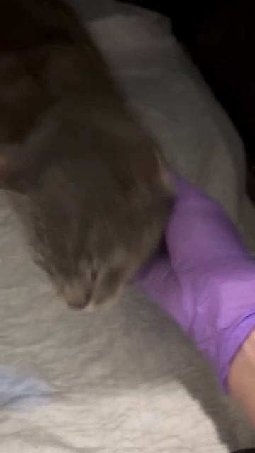 Новости о Тёме неутешительные.  Но ТЁМА БОРЕТСЯ!❗️❗️❗️   После осмотра врача и получения результатов