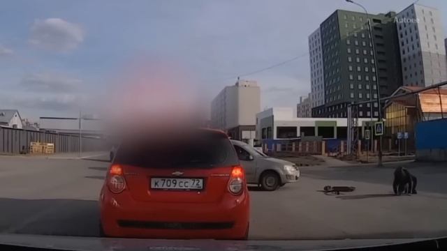 Электросамокаты - зло или технический прогресс кто виноват и что делать?