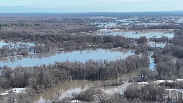 Над_поймой_Суры_апрель