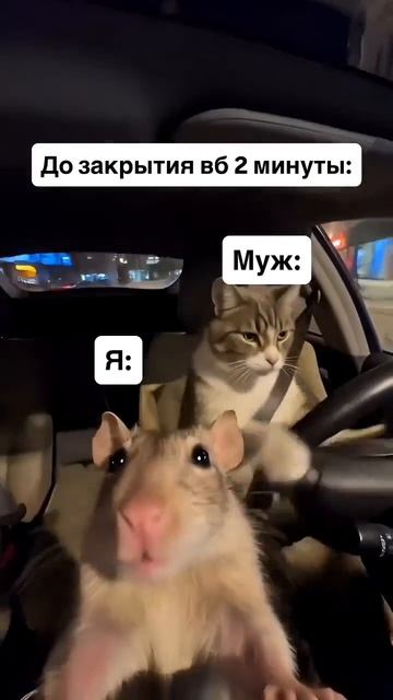 Успеем!😎🤣  Смешные видео 👉Подписаться