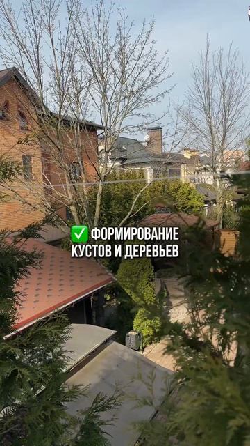 Сделаем всю работу за вас по проектированию и уходу за участком 