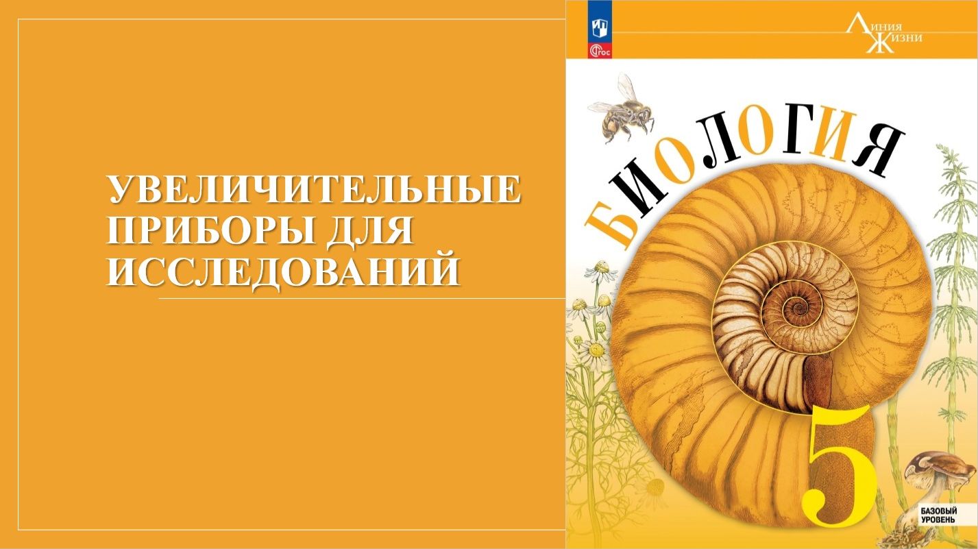 Урок 10. Увеличительные приборы для исследований