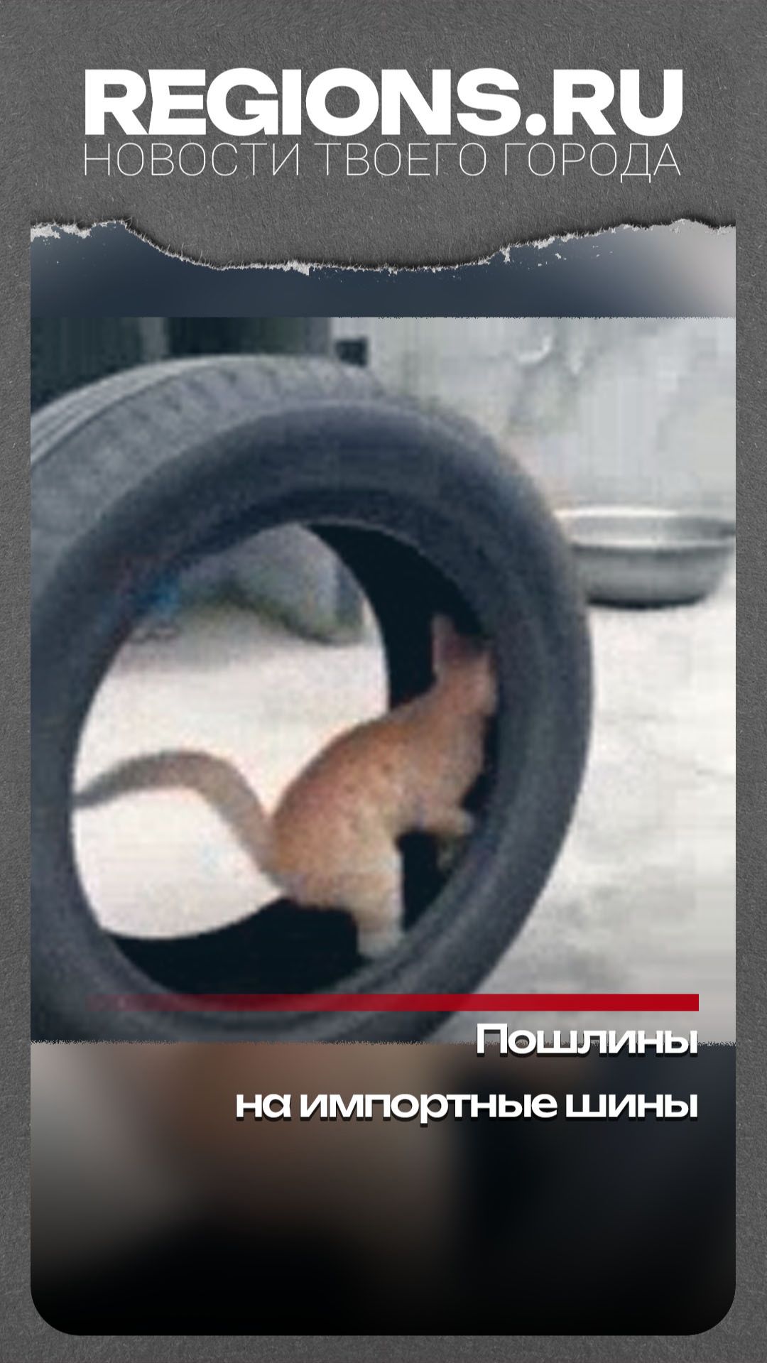 Пошлины на импортные шины