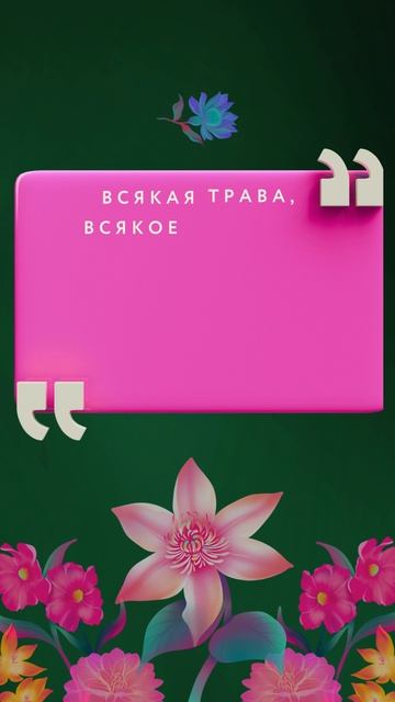 Цитаты о природе