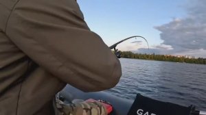 Вечерняя рыбалочка с лодки. амур и плотва