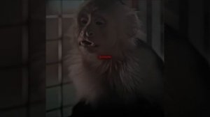 краткий пересказ фильма