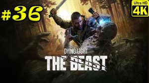Dying Light: The Beast [4K] ➤ Прохождение ➤ Часть 36