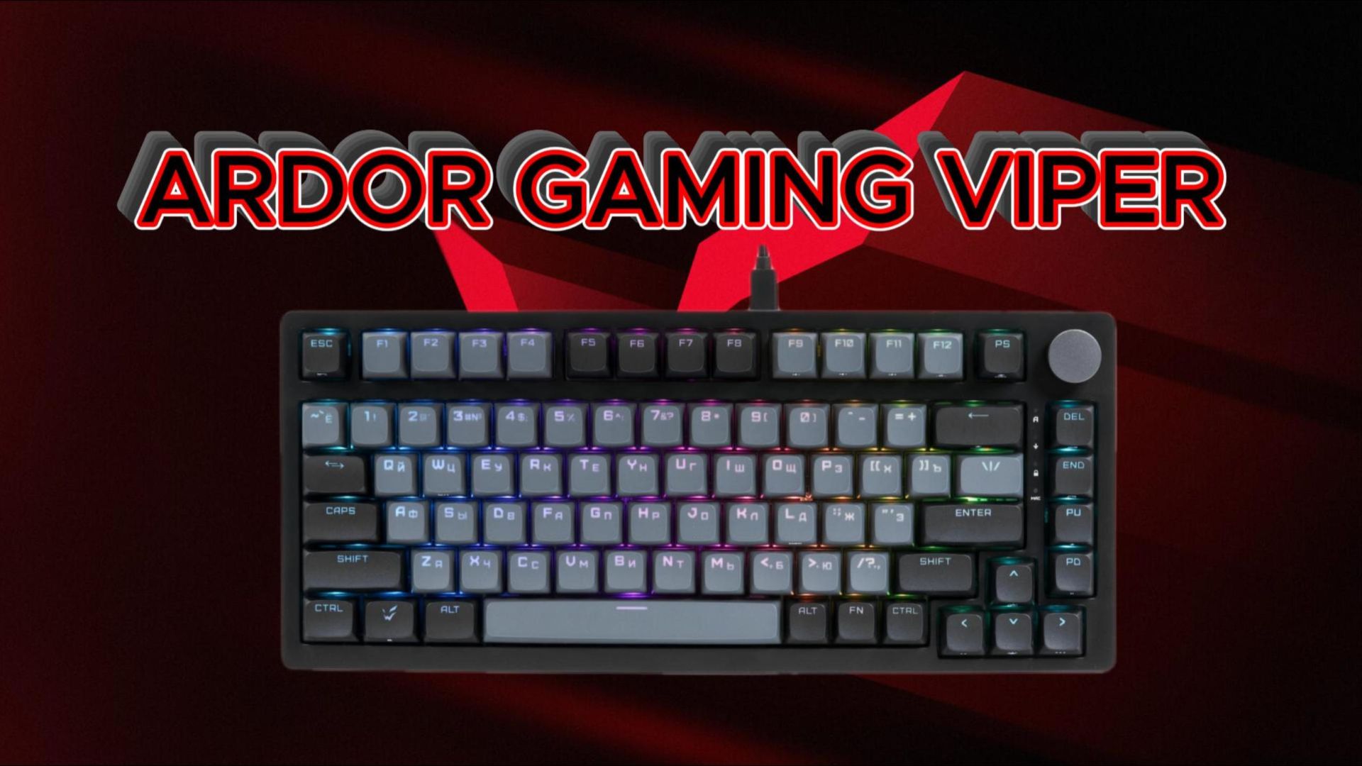 ARDOR GAMING VIPER ⭕ Распаковка для местных😉🔞