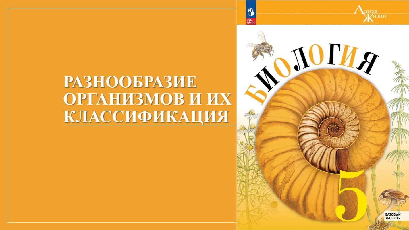 Урок 14. Разнообразие организмов и их классификация