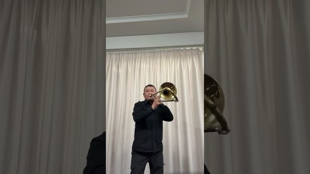 Доспай-оол Леонид. С.Комини 