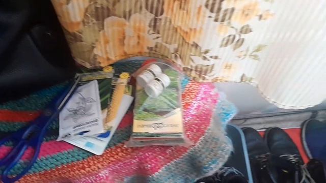 Мой ЗагородныйвСибири 15.04.2026РыжийПерсикмилотаПосеялакапусту в теплицеВесенний сад