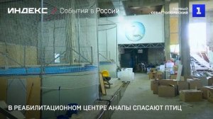 В реабилитационном центре Анапы спасают птиц