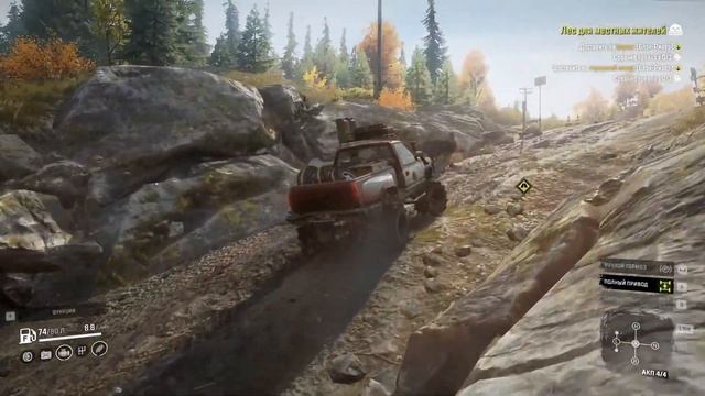 Активно занимаемся лесом