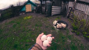 Отмечаем возвращение после вахты без похмелья и развода