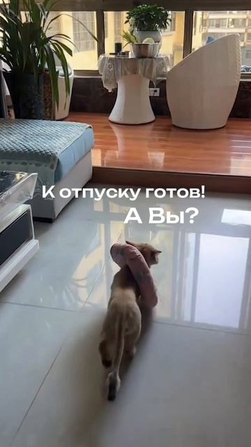 Что ждёт вас 24 апреля в долине Сукко?