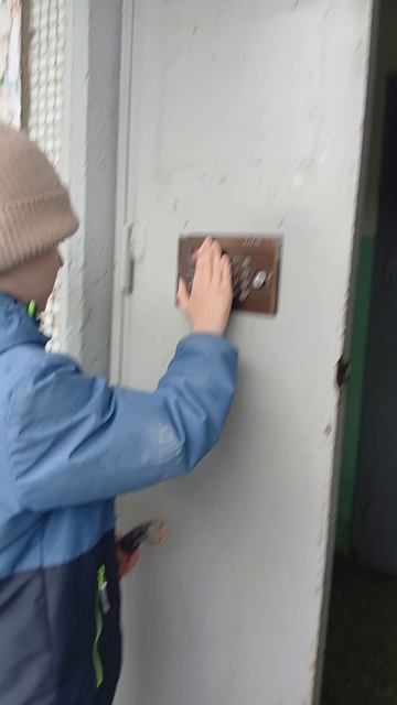 Чит кот на домофоне