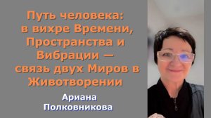 Путь человека в вихре Времени, Пространства и Вибрации — связь двух Миров в Животворении
