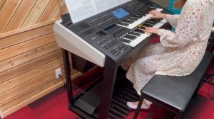 Journey to Fantasy Springs  / Yamaha ELS03XR