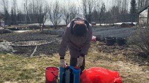Я ЗАЩИТИЛА СВОЙ САД ОТ БОЛЕЗНЕЙ.ВЕСЕННЯЯ ОБРАБОТКА