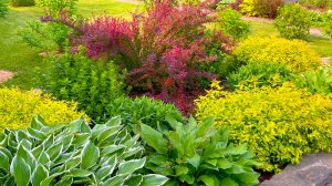 Клумбы, которые встречают нас при въезде на участок.