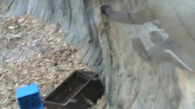 69ГЕЛЕНЖИК САФАРИ ПАРК2015 ГОД