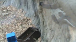 69)ГЕЛЕНЖИК САФАРИ ПАРК(2015 ГОД)