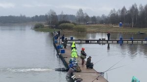 Форель в подсадке!