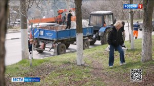 В Белгороде на уборку города вышли студенты и сотрудники департамента строительства и архитектуры