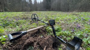 Почти бриллианты: какую заветную красоту удалось найти на выбитом поле среди пробок и мусора?