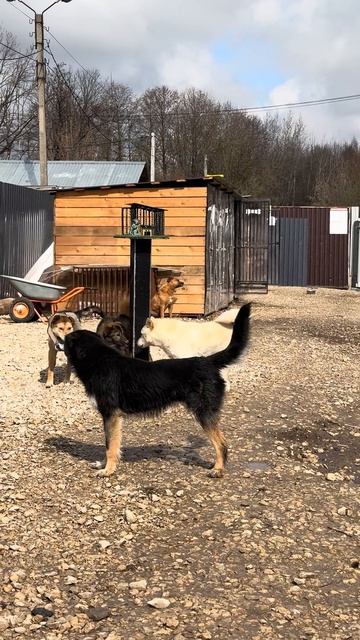 Всем привет! Погода, вроде как, налаживается☀️