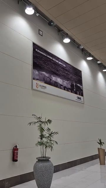 Аэропорт Александрии, завершение Экспедиции МаЭД в Египте, 15.04. Мир Универсологии