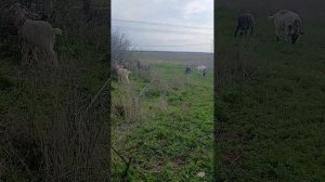 16 апреля 2026 г. (1)