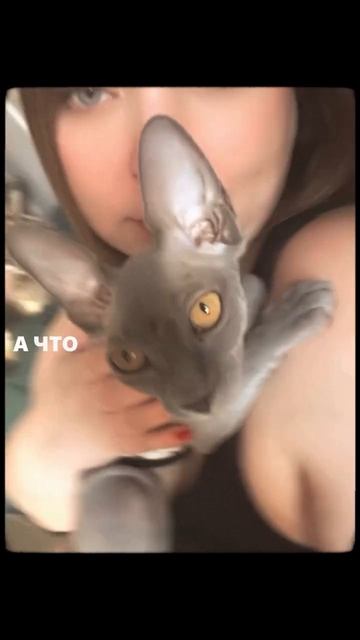 Любимая Луна 