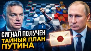 Венгрия После Орбана Зачем Путин Меняет Игру — Кто В Будапеште Ждёт Секретный Сигнал Из Кремля