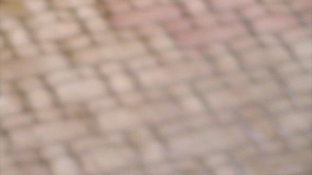 67ГЕЛЕНЖИК САФАРИ ПАРК2015 ГОД