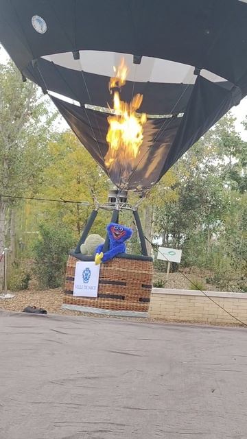 На воздушном шаре 