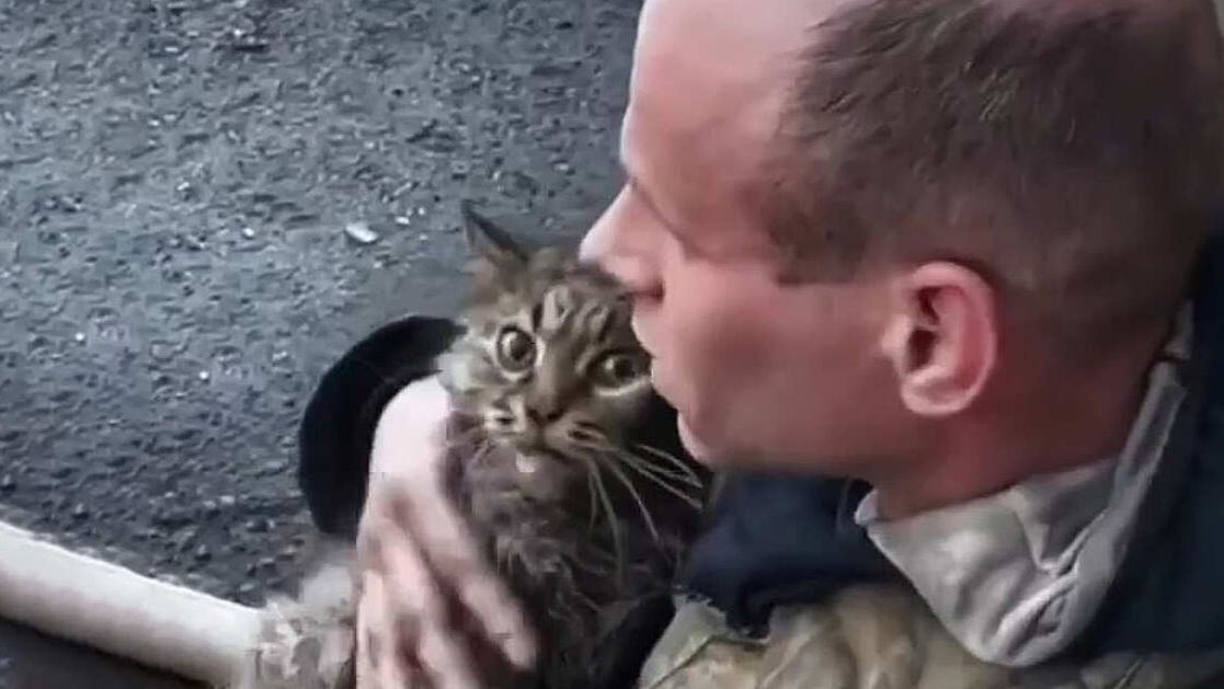 Спасатель откачал двух пострадавших в пожаре котов в Тюмени